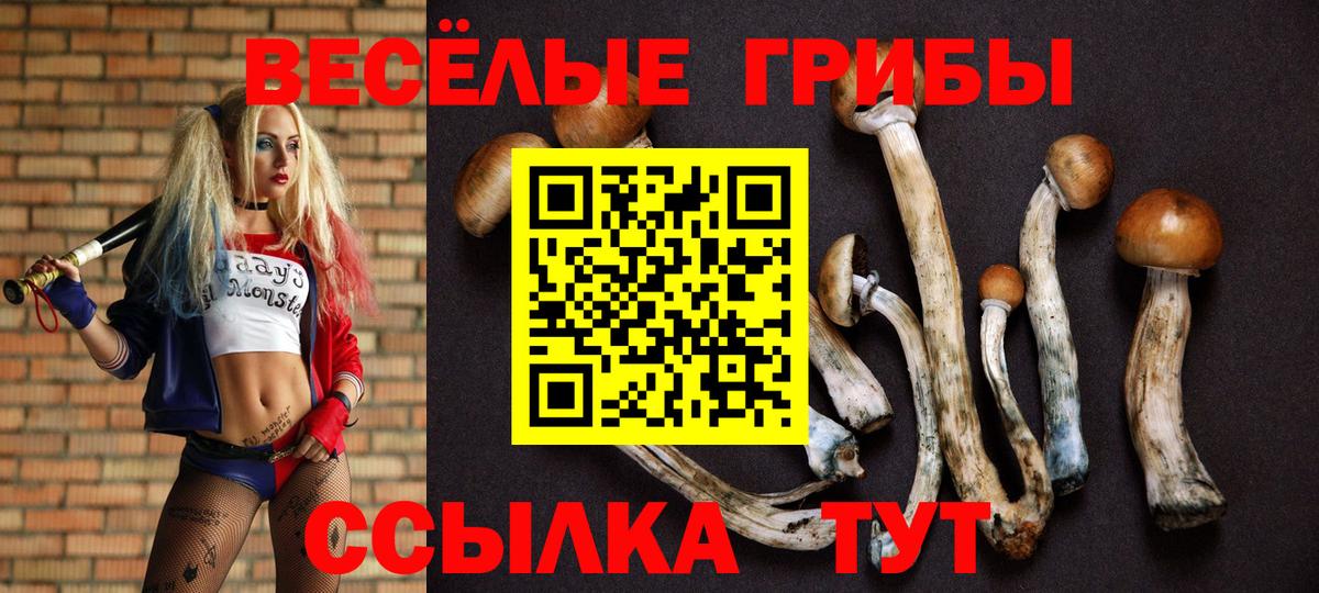 Псилоцибиновые грибы MAGIC MUSHROOMS  Вход с VPN  Наро-Фоминск 